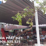 Làm mái xếp bạt kéo cho quán nhậu thương hiệu Hòa Phát Đạt giá rẻ