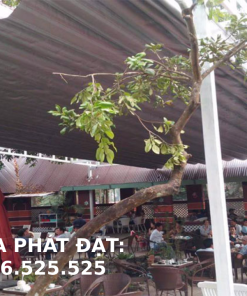 Làm mái xếp bạt kéo cho quán nhậu thương hiệu Hòa Phát Đạt giá rẻ
