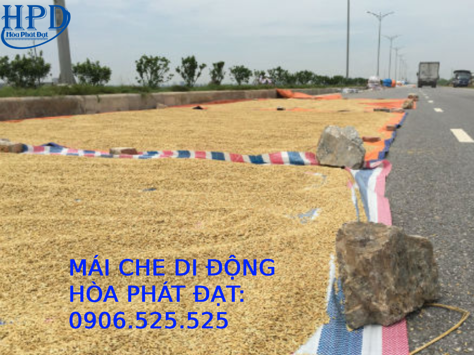 Bạt sợi dứa 3 màu siêu dai giá rẻ nhất hiện nay