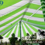 Dù che kích thước lớn tại TP.HCM