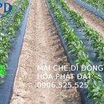 Màng phủ nông nghiệp
