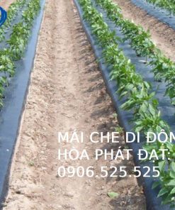 Màng phủ nông nghiệp