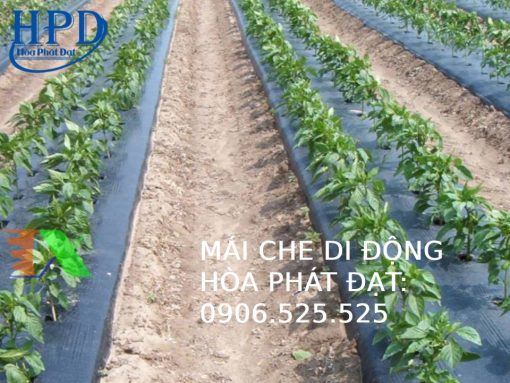 Màng phủ nông nghiệp