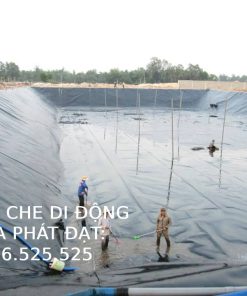 Màng phủ vuông tôm