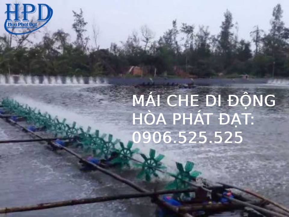 Bạt đen hồ nuôi thủy hải sản