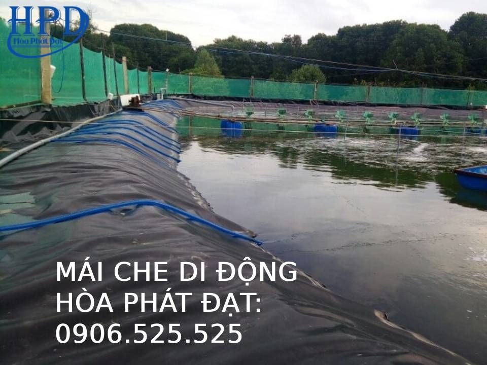 Bạt đen hồ nuôi thủy hải sản