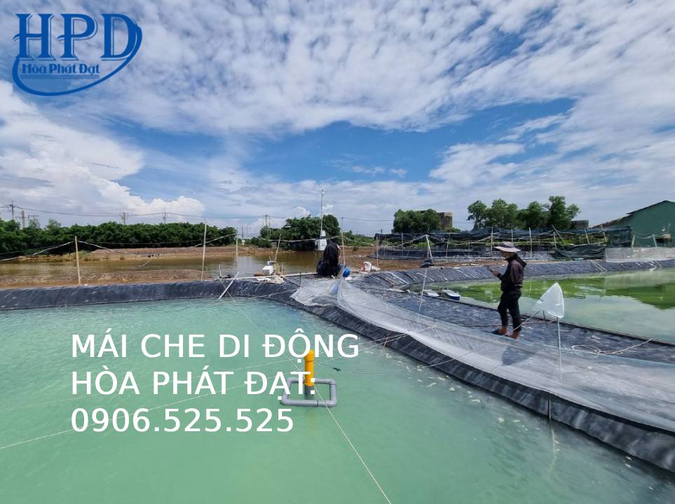 Bạt đen hồ nuôi thủy hải sản
