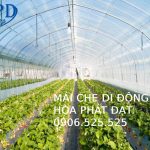 Bạt trải sàn nông nghiệp