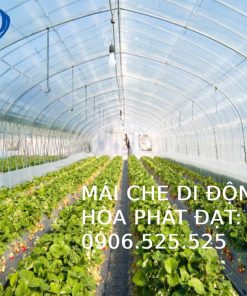 Bạt trải sàn nông nghiệp
