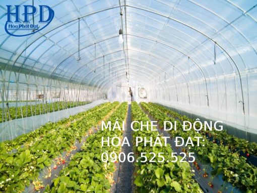 Bạt trải sàn nông nghiệp