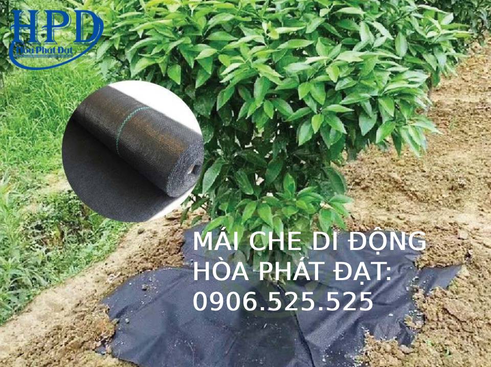 Màng phủ nông nghiệp