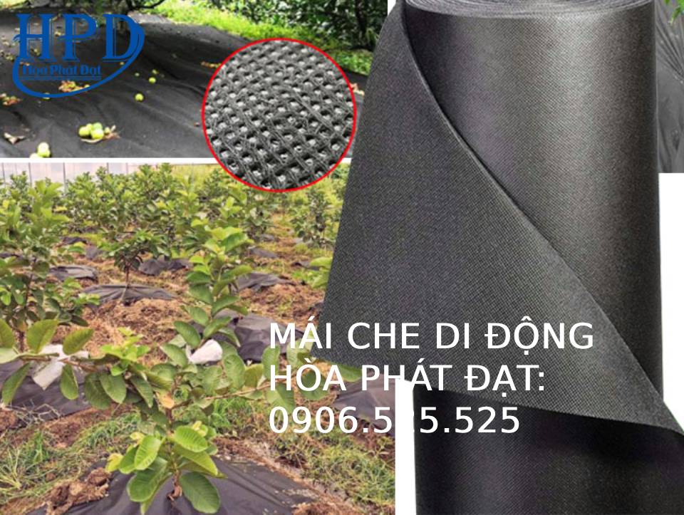 Bạt phủ gốc cây, diệt cỏ tận gốc