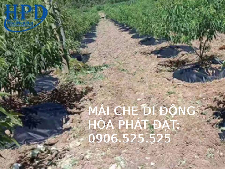 Màng phủ nông nghiệp
