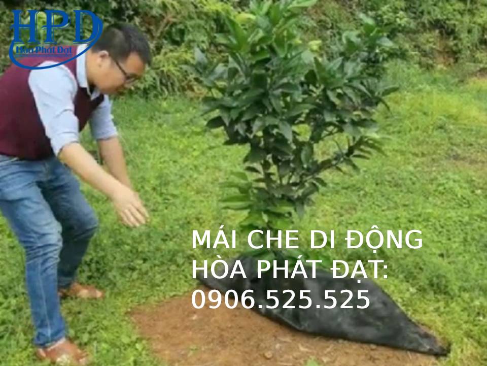 Màng phủ nông nghiệp