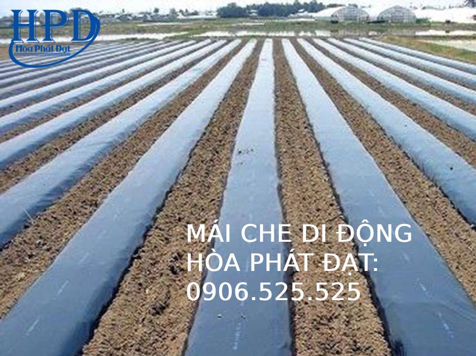 Màng phủ nông nghiệp
