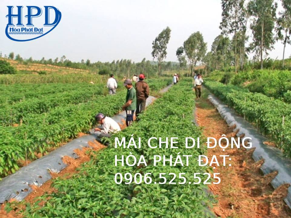 Màng phủ nông nghiệp