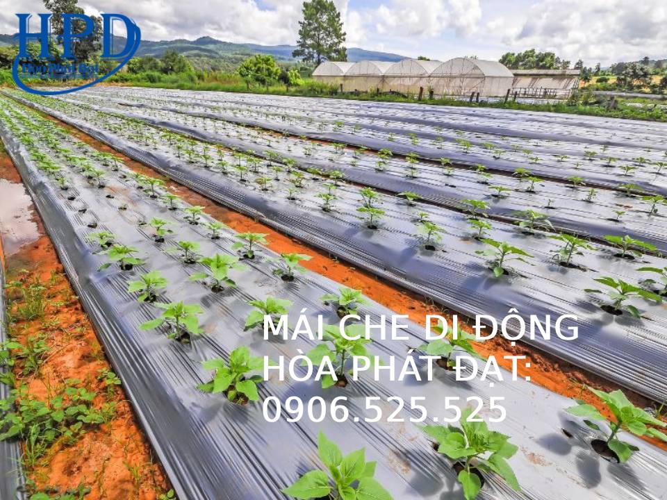 Bạt phủ gốc cây, diệt cỏ tận gốcç Nông NghiÇp