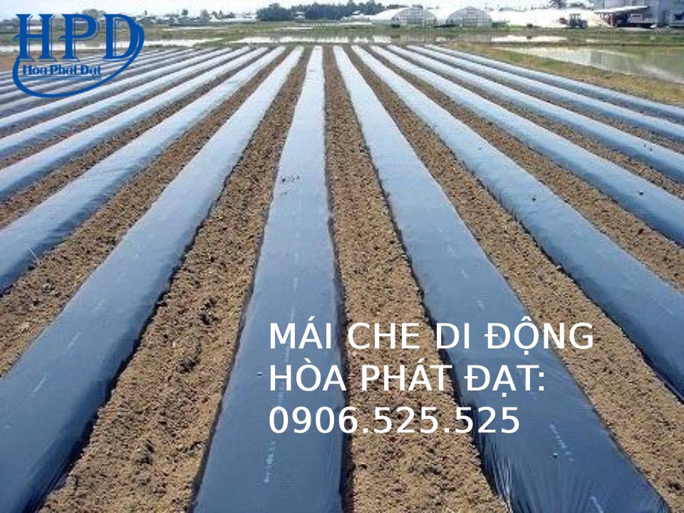 Màng phủ nông nghiệp