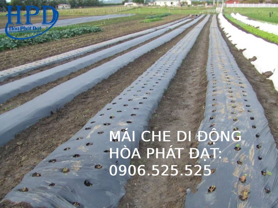 Diệt Cỏ Bằng Bạt Đen
