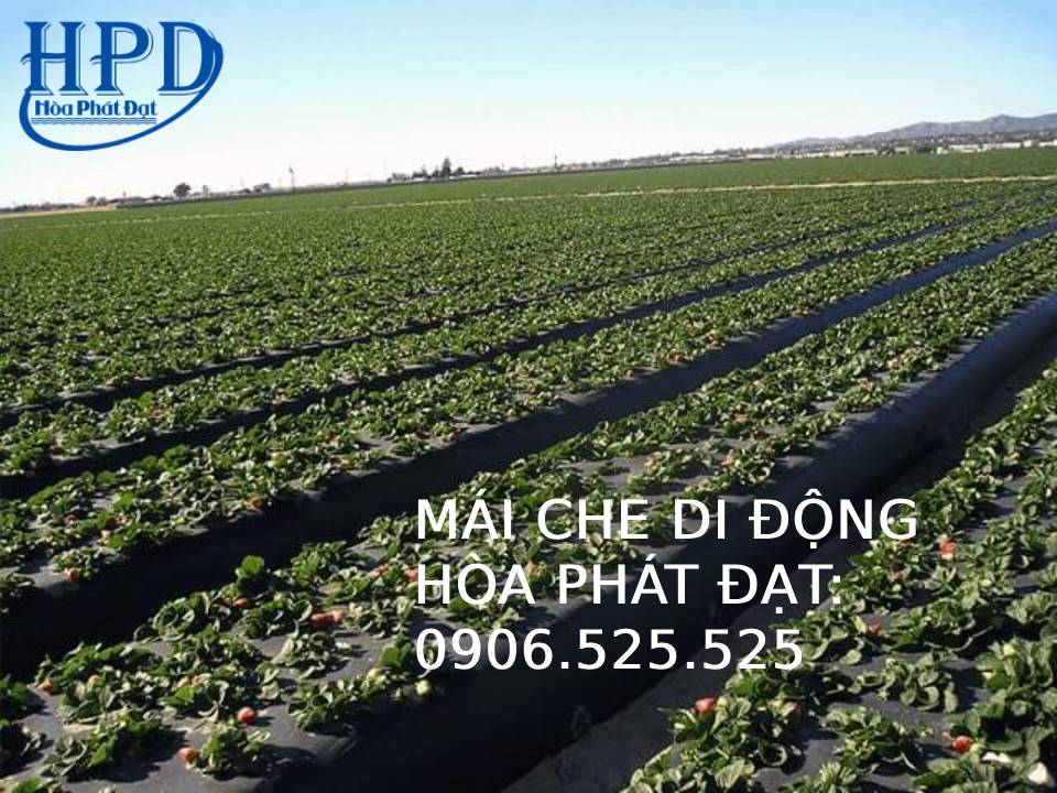 Màng phủ nông nghiệp