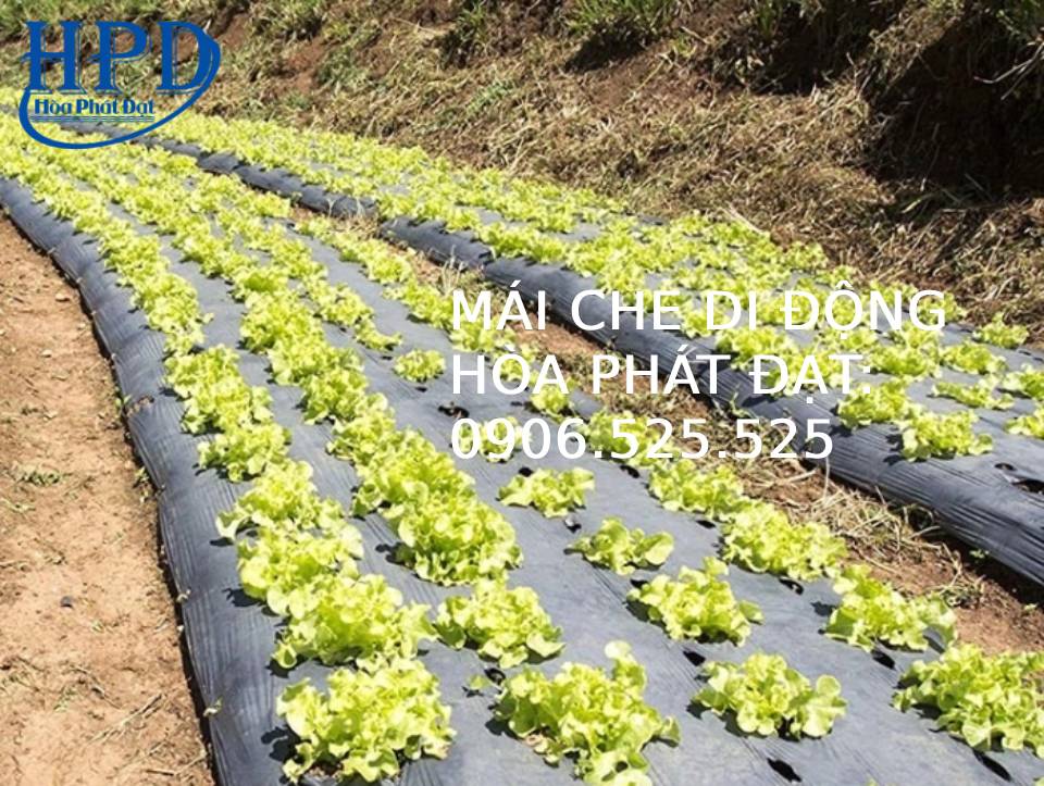 Bạt phủ chống cỏ dại