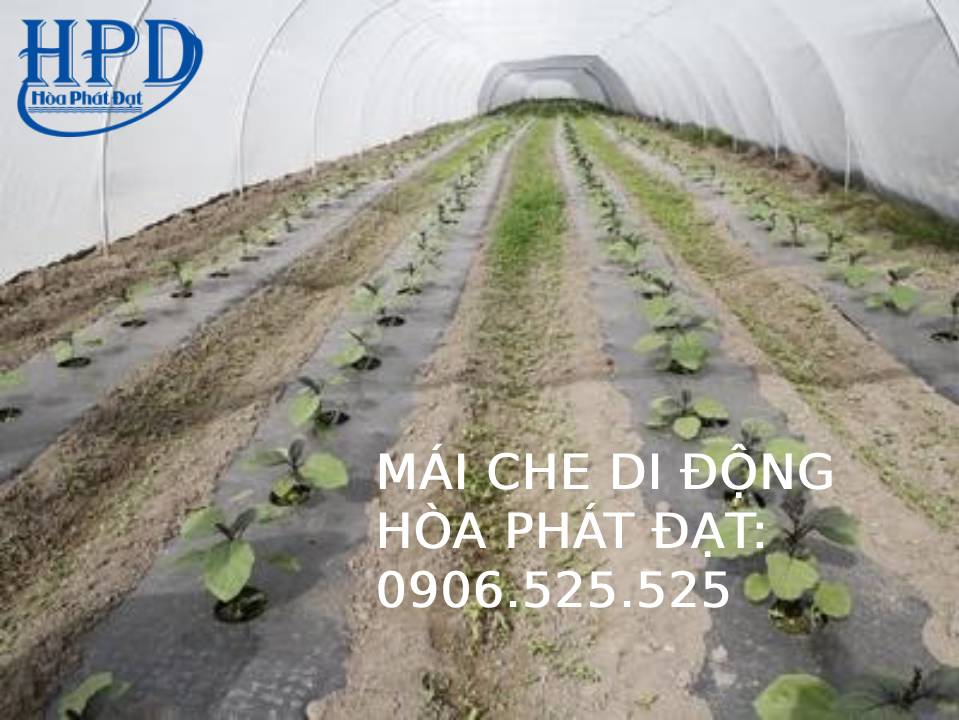 Bạt phủ chống cỏ dại