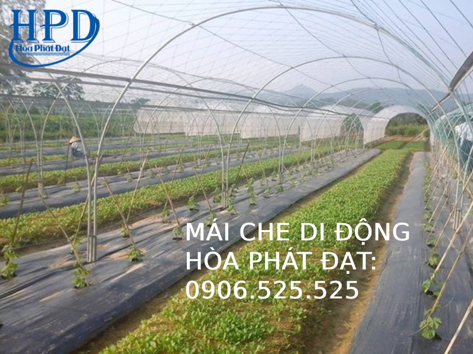 Bạt phủ chống cỏ dại