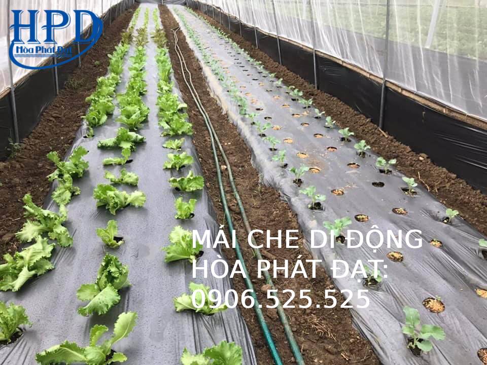Bạt phủ chống cỏ dại