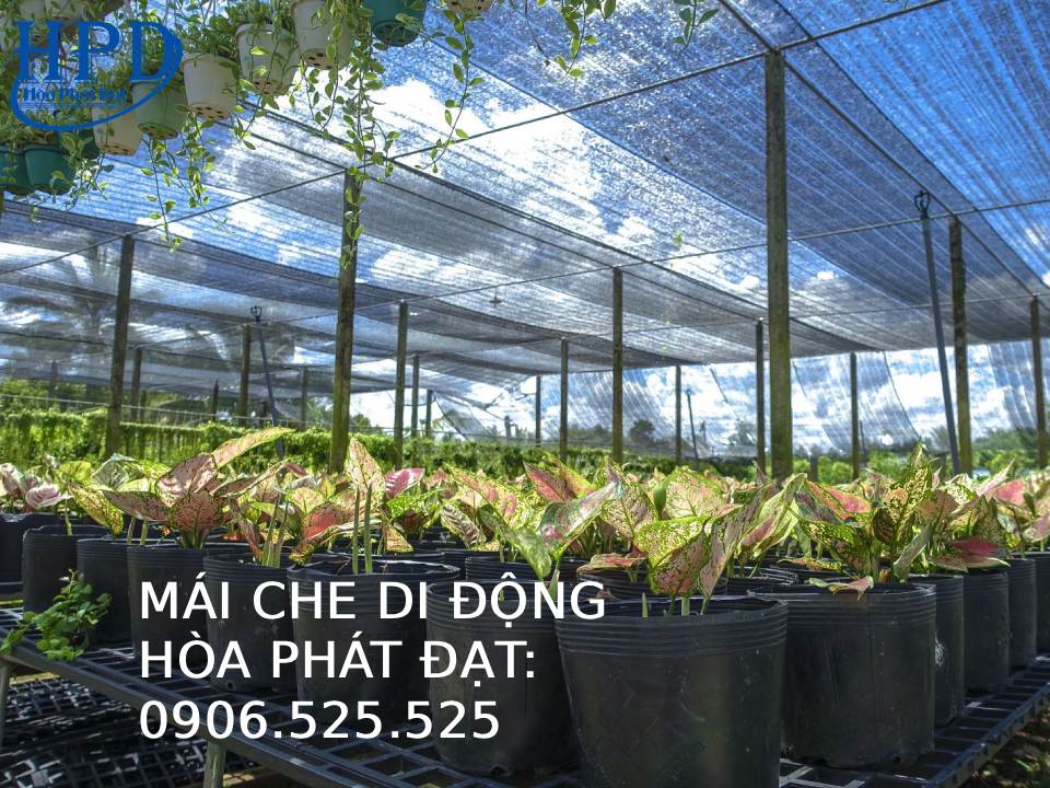 Lưới Che Nắng Thái Lan Chất Lượng Cao