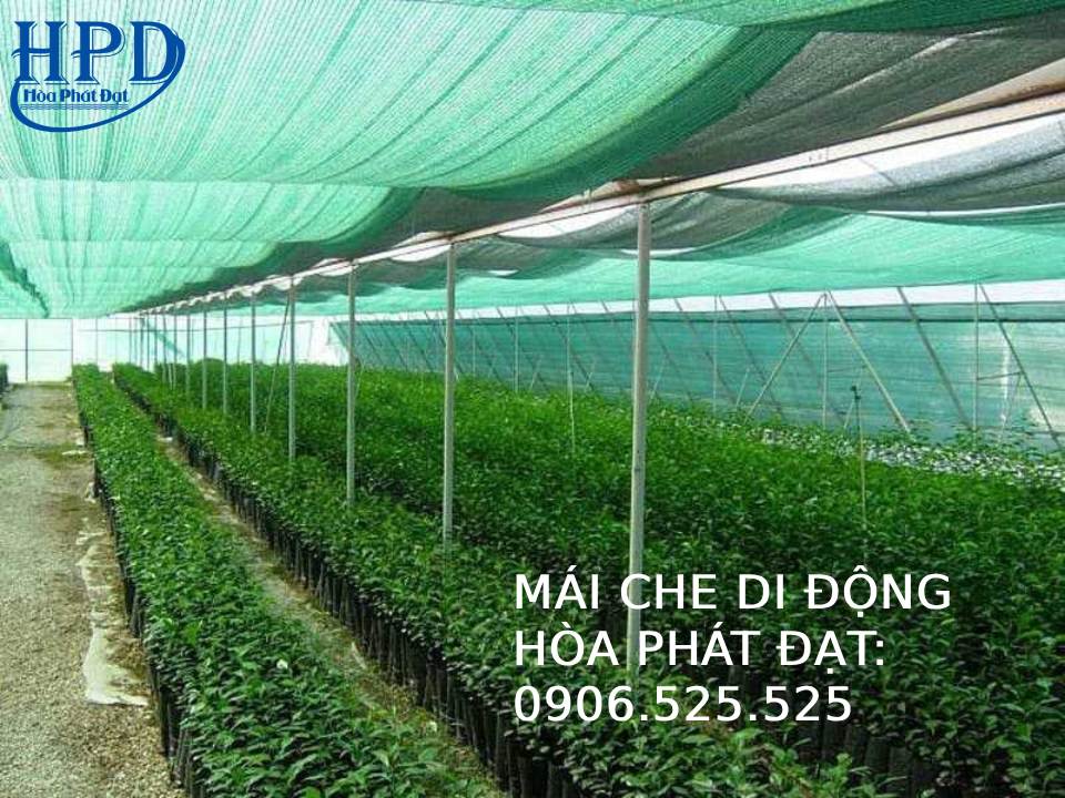 Lưới Che Nắng Thái Lan Chất Lượng Cao