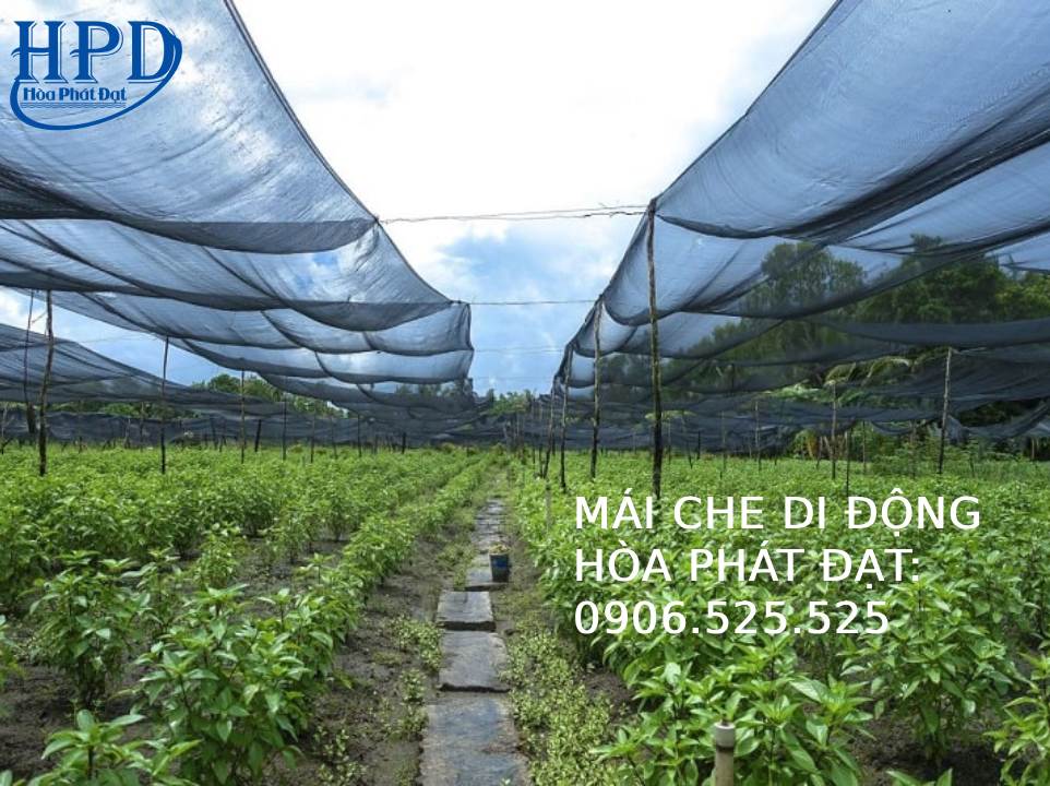 Bạt lưới che nắng tại TPHCM