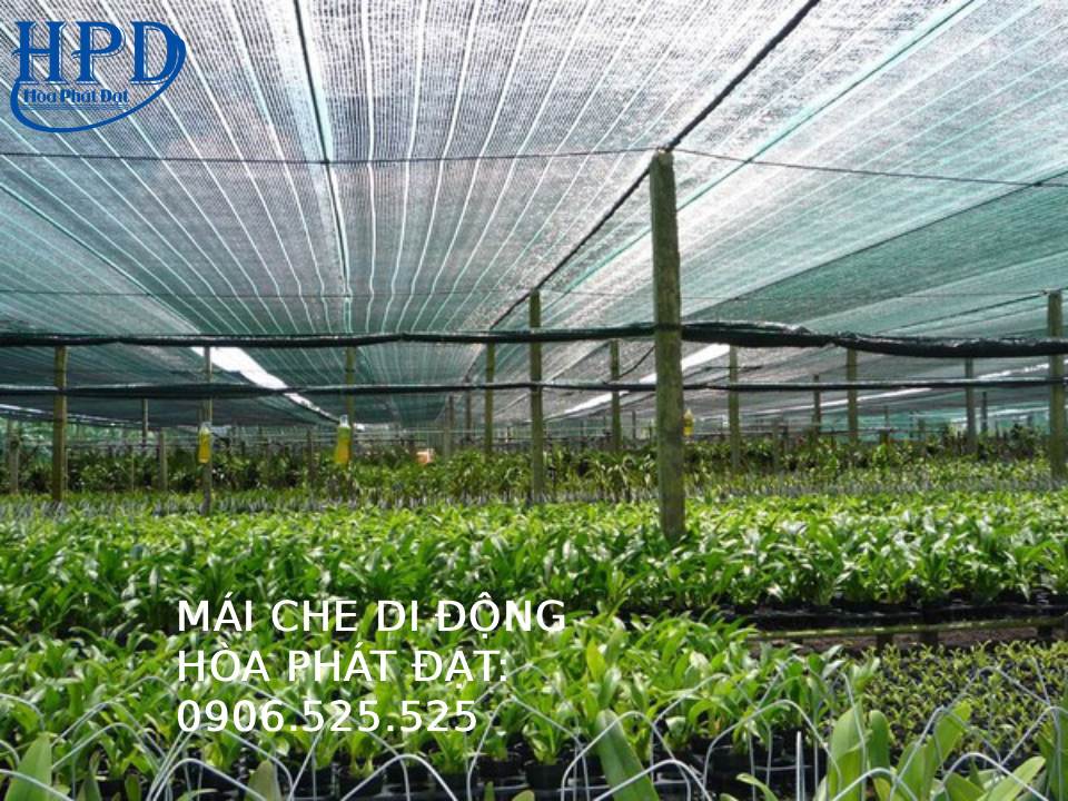Bạt lưới che nắng tại TPHCM